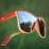 Óculos de Sol Yopp Polarizado Uv400 MDR25 Glória