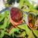 Óculos de Sol Yopp Polarizado Uv400 Gray Tu-ton Vermellho