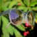 Óculos de Sol Yopp Polarizado Uv400 Gray Tu-ton Rosa