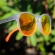 Óculos de Sol Yopp Polarizado Uv400 Gray Tu-ton Laranja