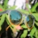 Óculos de Sol Yopp Polarizado Uv400 Gray Tu-ton Amarelo